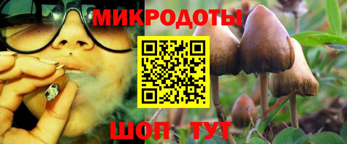 Бахчисарай  Галлюциногенные грибы MAGIC MUSHROOMS  закладки  Вход с VPN  Псилоцибиновые грибы Psilocybine cubensis 